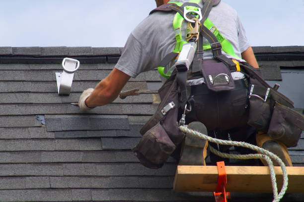 Best Roof Restoration Services  in Roanoke Rapids, NC