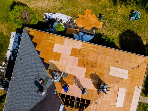 Best Commercial Roofing Services  in Roanoke Rapids, NC