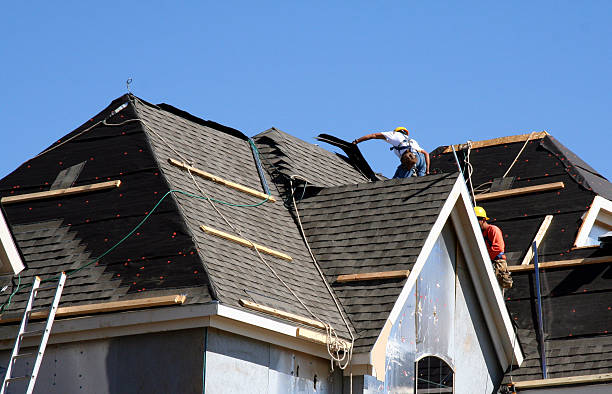 Best Roof Gutter Cleaning  in Roanoke Rapids, NC