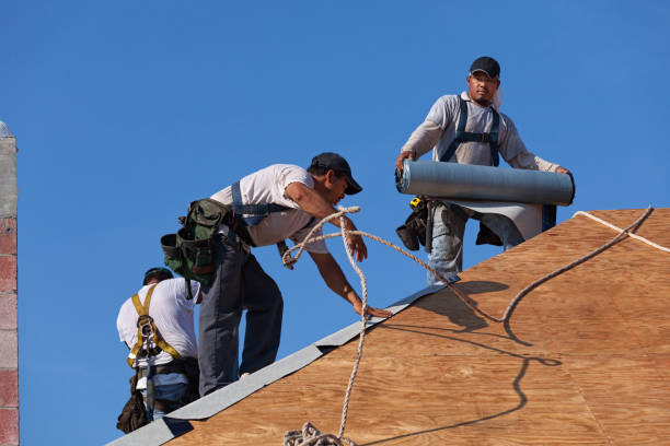 Best Roof Inspection Near Me  in Roanoke Rapids, NC