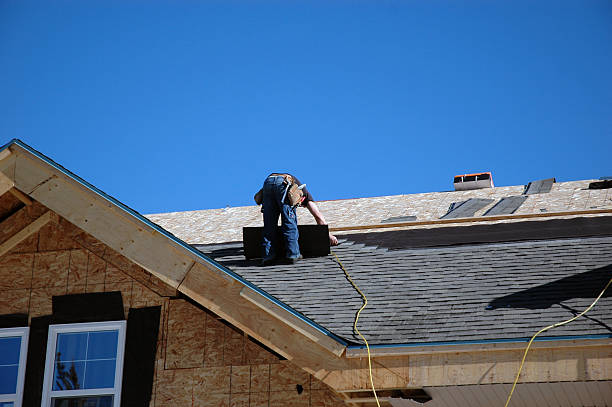Best Metal Roofing Contractor  in Roanoke Rapids, NC