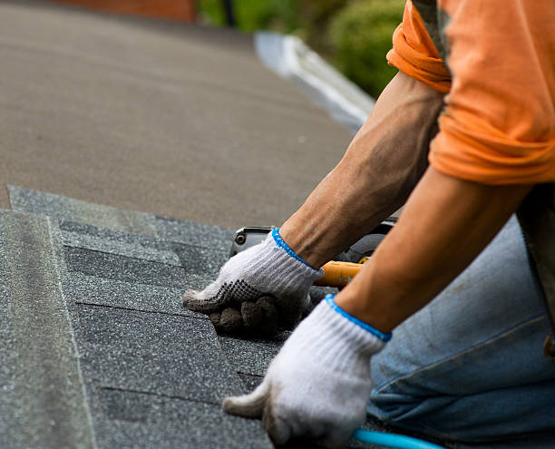 Best Emergency Roof Repair  in Roanoke Rapids, NC