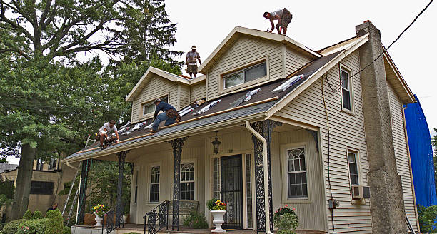 Best Roof Inspection Near Me  in Roanoke Rapids, NC