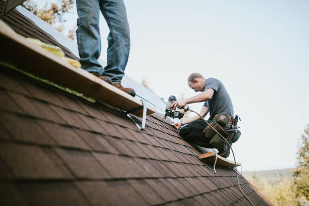 Best Residential Roofing Contractor  in Roanoke Rapids, NC