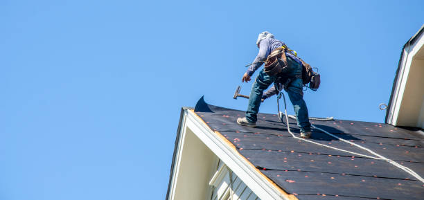 Best Roof Replacement Cost  in Roanoke Rapids, NC